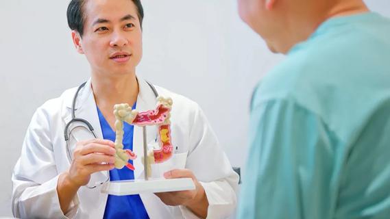 Doctor holding a model of a colon with patient