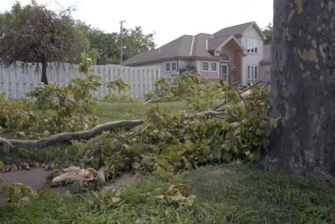 Storm damage outside