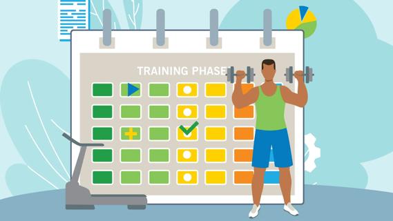 Person lifting weights, standing in front of oversized periodization training phases chart