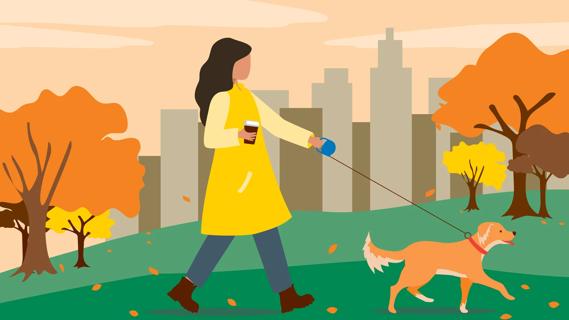 Person holding to-go coffee cup in one hand and dog leash in the other, walking dog in park, in autumn, leaves falling