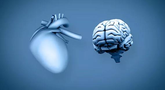 heart_brain_690x380