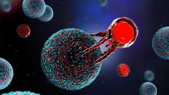 T-cell