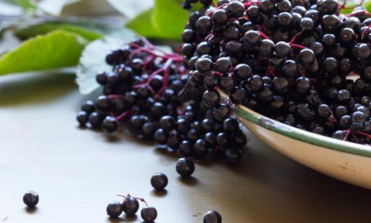 Elderberries spilling out of a bowl