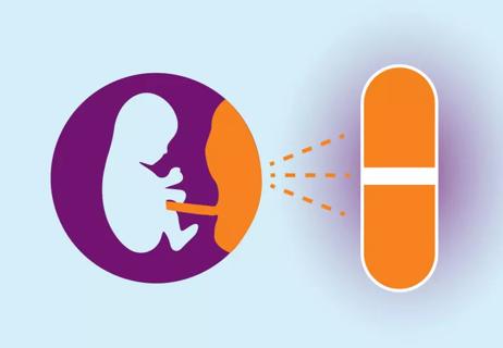 Illustration depicting a placenta before and after, transforming into a pill