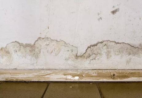 mold on wall and floor from flood