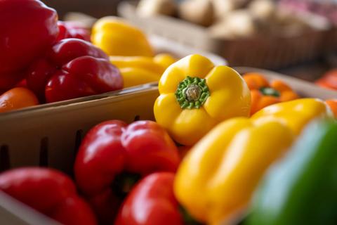 Red, yellow and green bell peppers in baskets at market