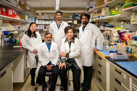 Husni lab