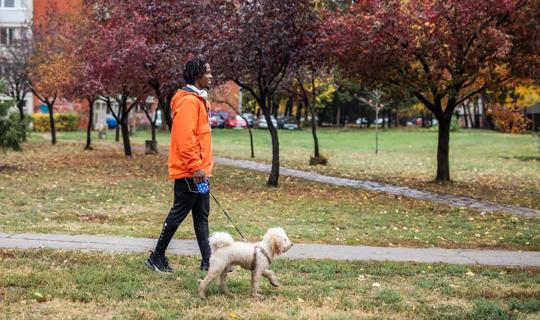 Smiling person walking dog, with autumn trees and leaves on ground