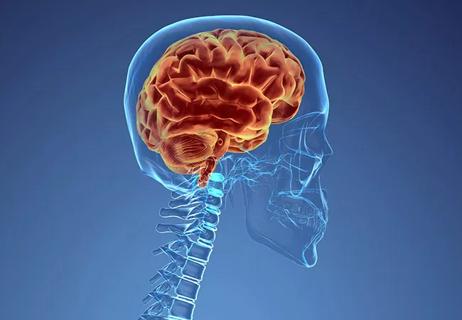 650&#215;450-Central-Nervous-System-Lymphoma