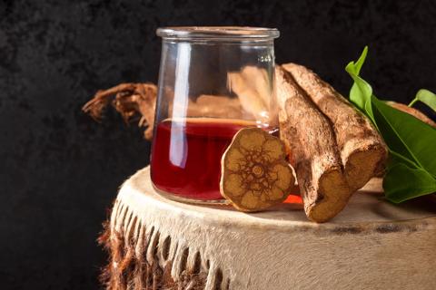 Glass of ayahuasca tea on stump