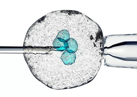 Stem cells