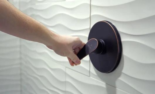 Shower handle
