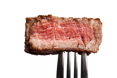 Piece of grilled steak