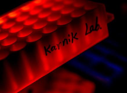 Karnik lab