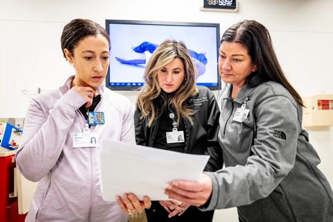 Nurse researchers