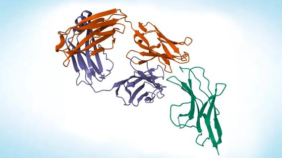 TaussigCC_650x450
