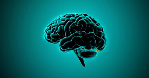 3D rendering dark light human brain illustration on green BG