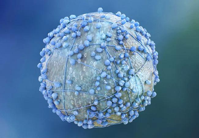 injecting semaglutide into stomach Semaglutide Injection Sites: Best Locations & Doctor Advice