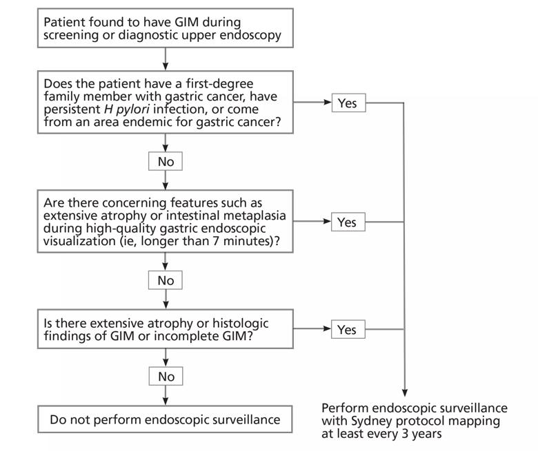 GIM and Gastric Cancer Prevention