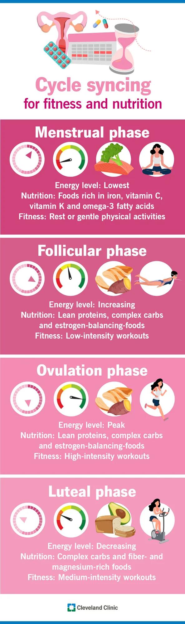 An illustrated infographic listing the four phases of cycle syncing for women's menstrual cycles.