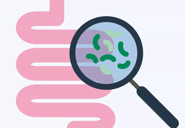 magnifying glass looking microbes in intestines