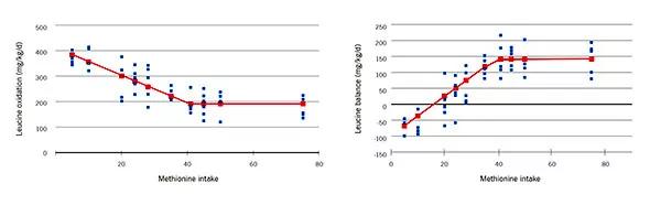 590x-Inset-Castillo-Nutrition-Graphs