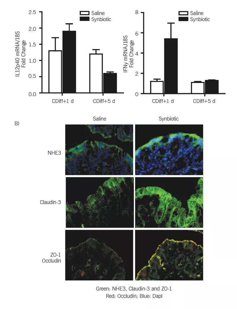 Inset Figure 3