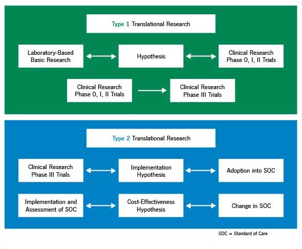 Figure 1. Melanoma Program model of translational research.