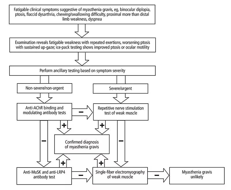 flow chart of recommended approach to diagnosing myasthenia gravis