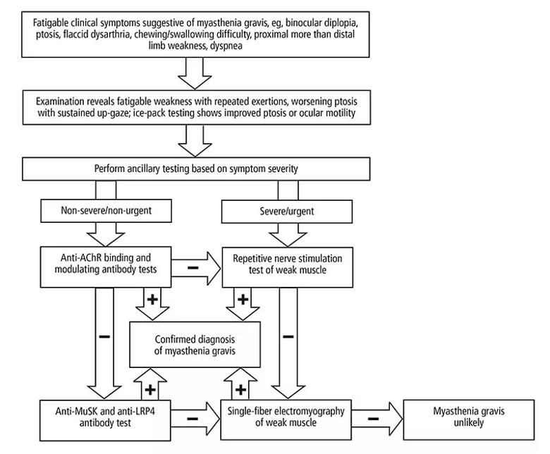 Autoimmunity and postural orthostatic tachycardia syndrome: Implications in  diagnosis and management