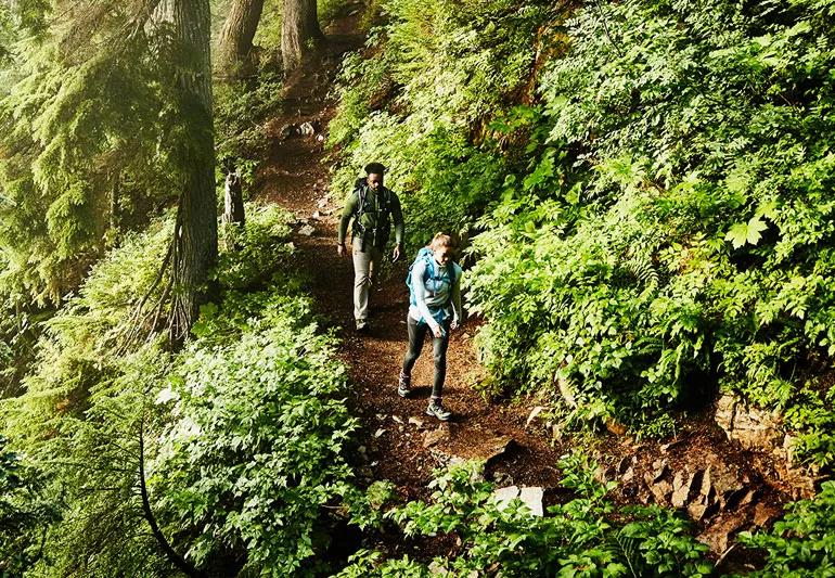 8 Hiking Essentials for a Day on the Trails, According to People Who Hike  Regularly