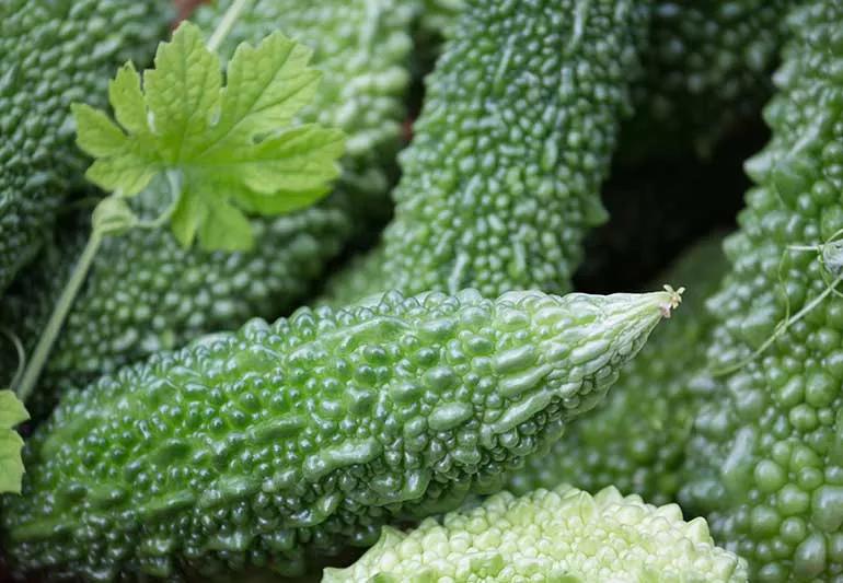 4 Benefits Of Bitter Melon