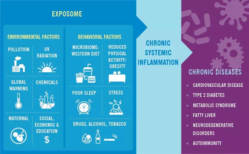 Environmental and behavioral factors that cause chronic systemic inflammation.