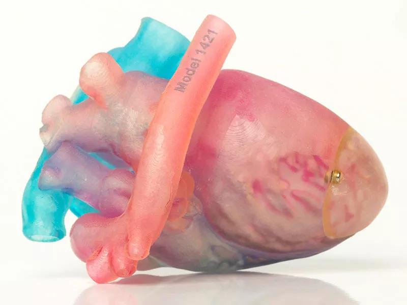 3D heart