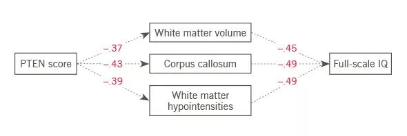 Figure 2. Mediational models displaying how PTEN protein levels drive white matter abnormalities that then drive cognitive deficits in patients with PTEN-ASD. Adapted from Frazier et al, ©2014 Macmillan Publishers Limited. 