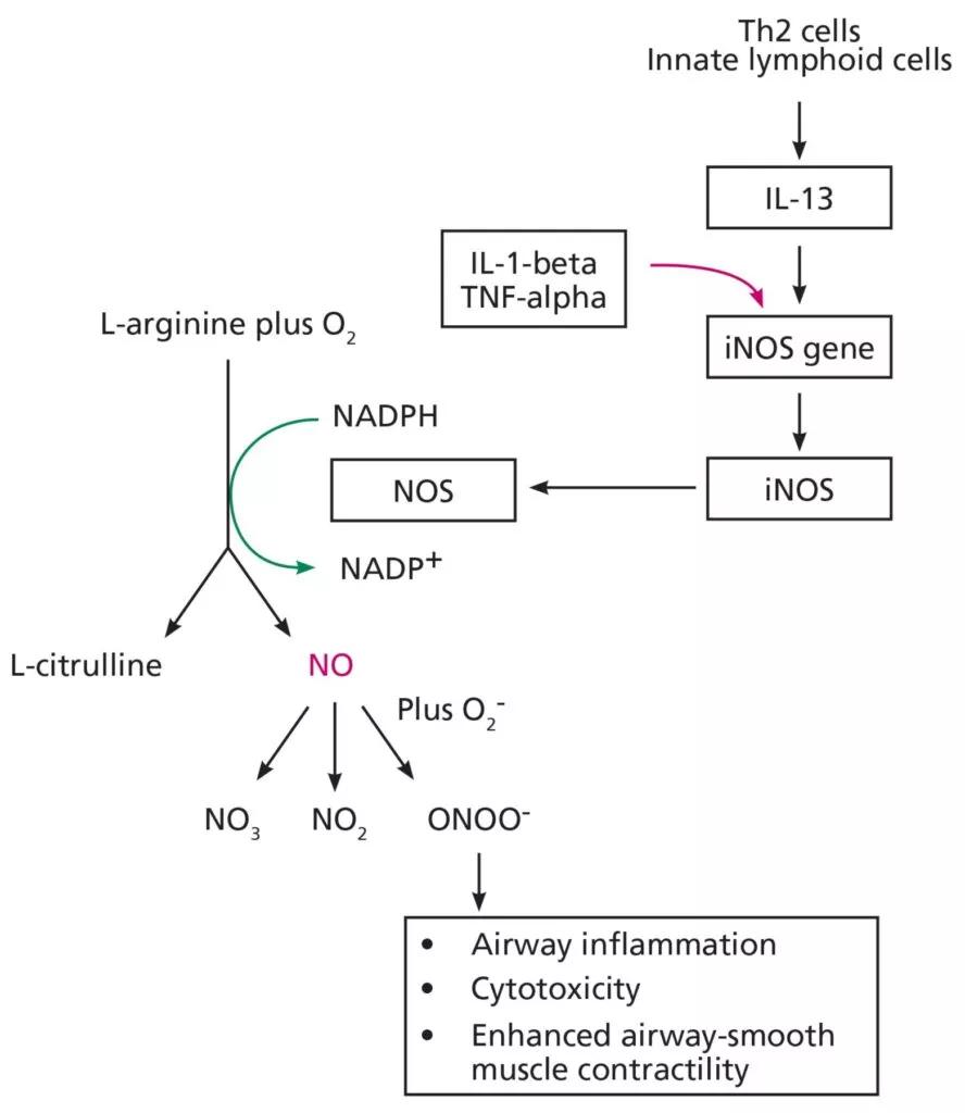 Flow chart