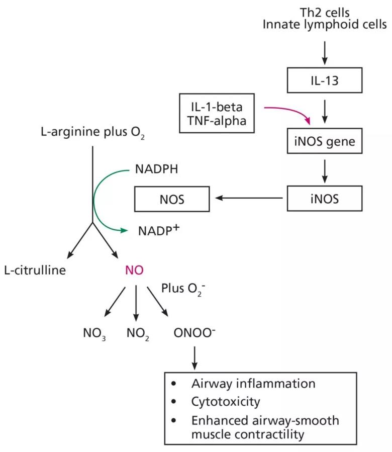 Flow chart