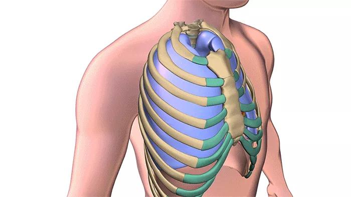 Lung microcoil Cleveland Clinic