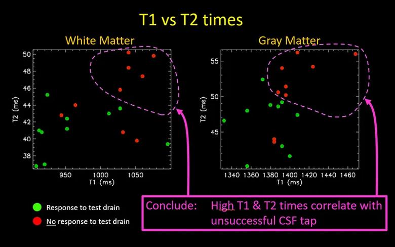 Two-dimensional scatter plot of peak T1 versus T2 times 