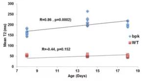 Kidney disease