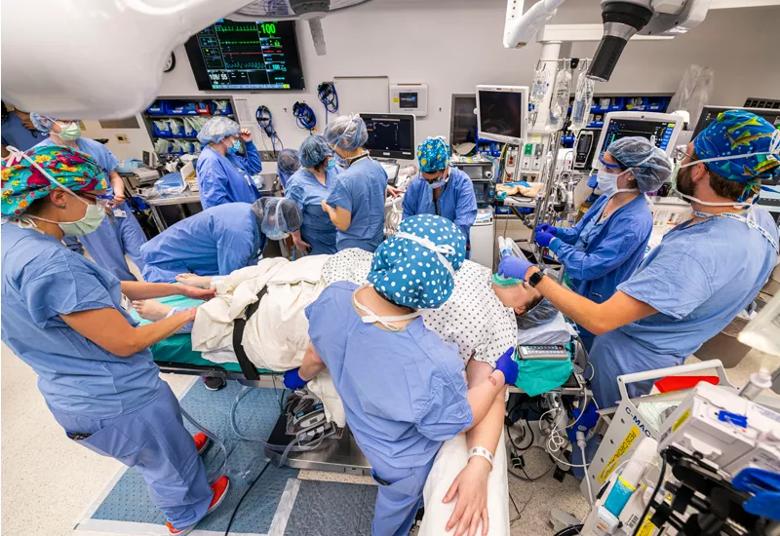 The surgical team prepares the anesthetized patient.