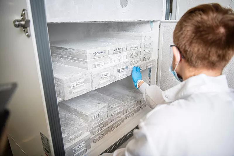 Researchers accessing biomaterial 