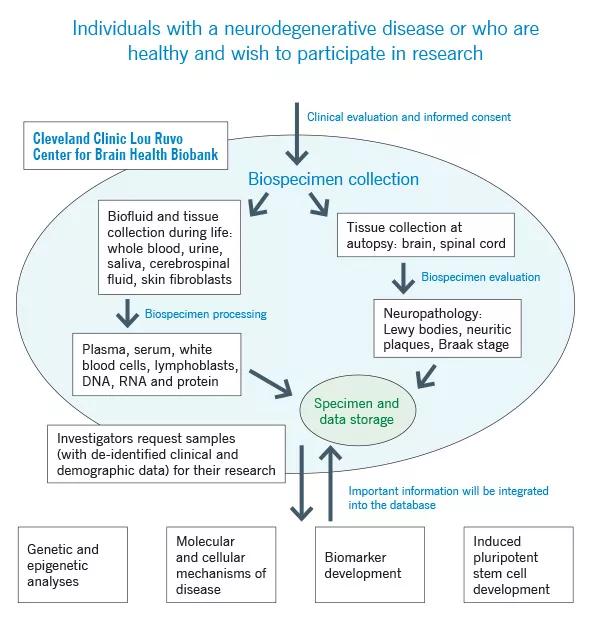 Biobank-Figure