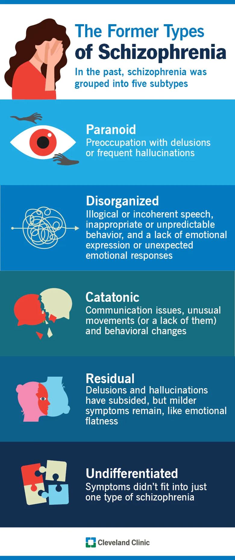 The former five types of schizophrenia, including paranoid and catatonic