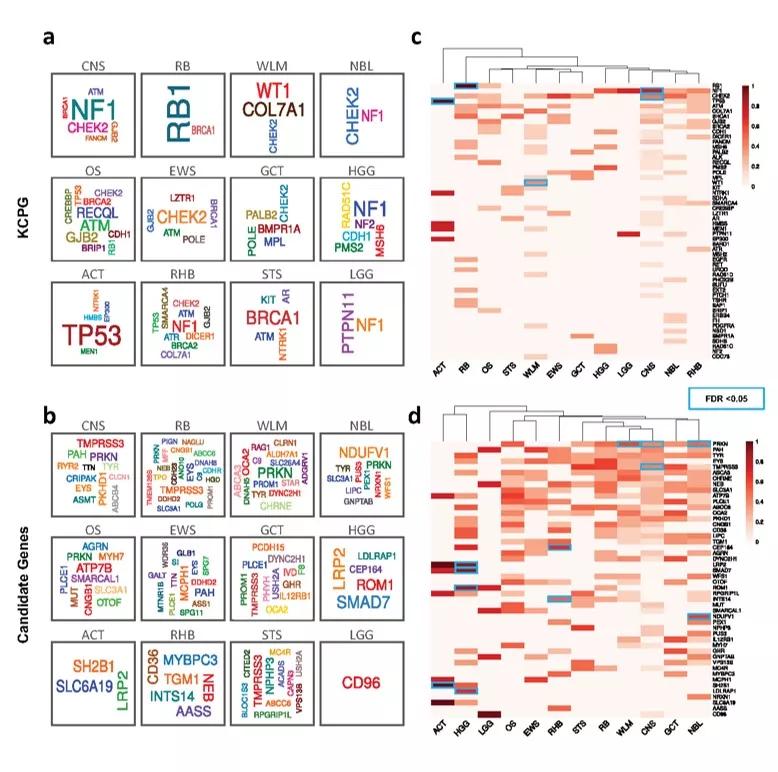 Germline gene cloud signatures