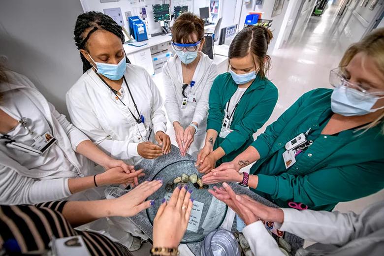 Hands being blessed