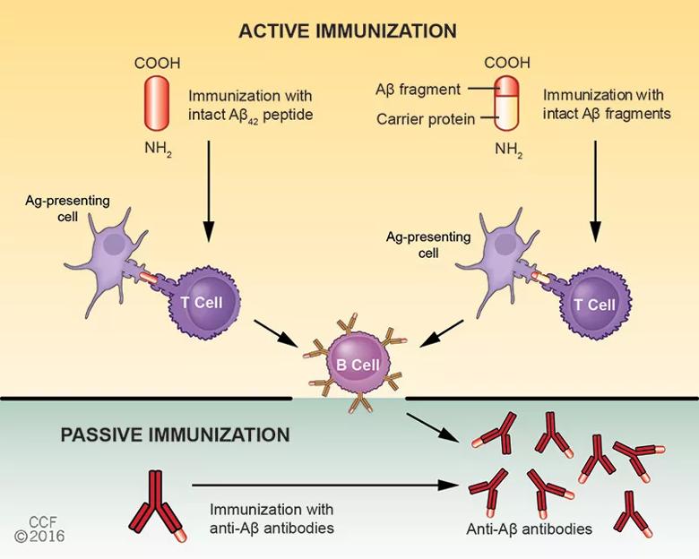 16-neu-1933-cummings-inset1
