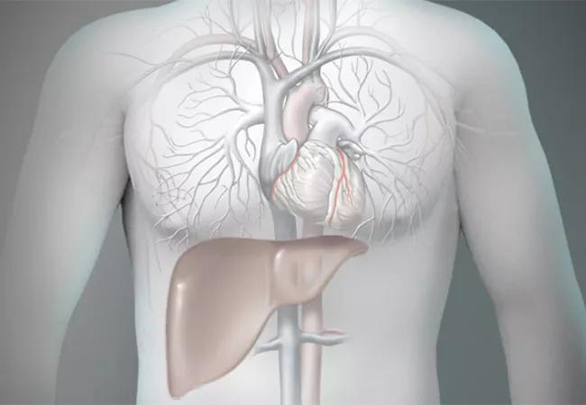 Association between pre-transplant functional status and 1-year