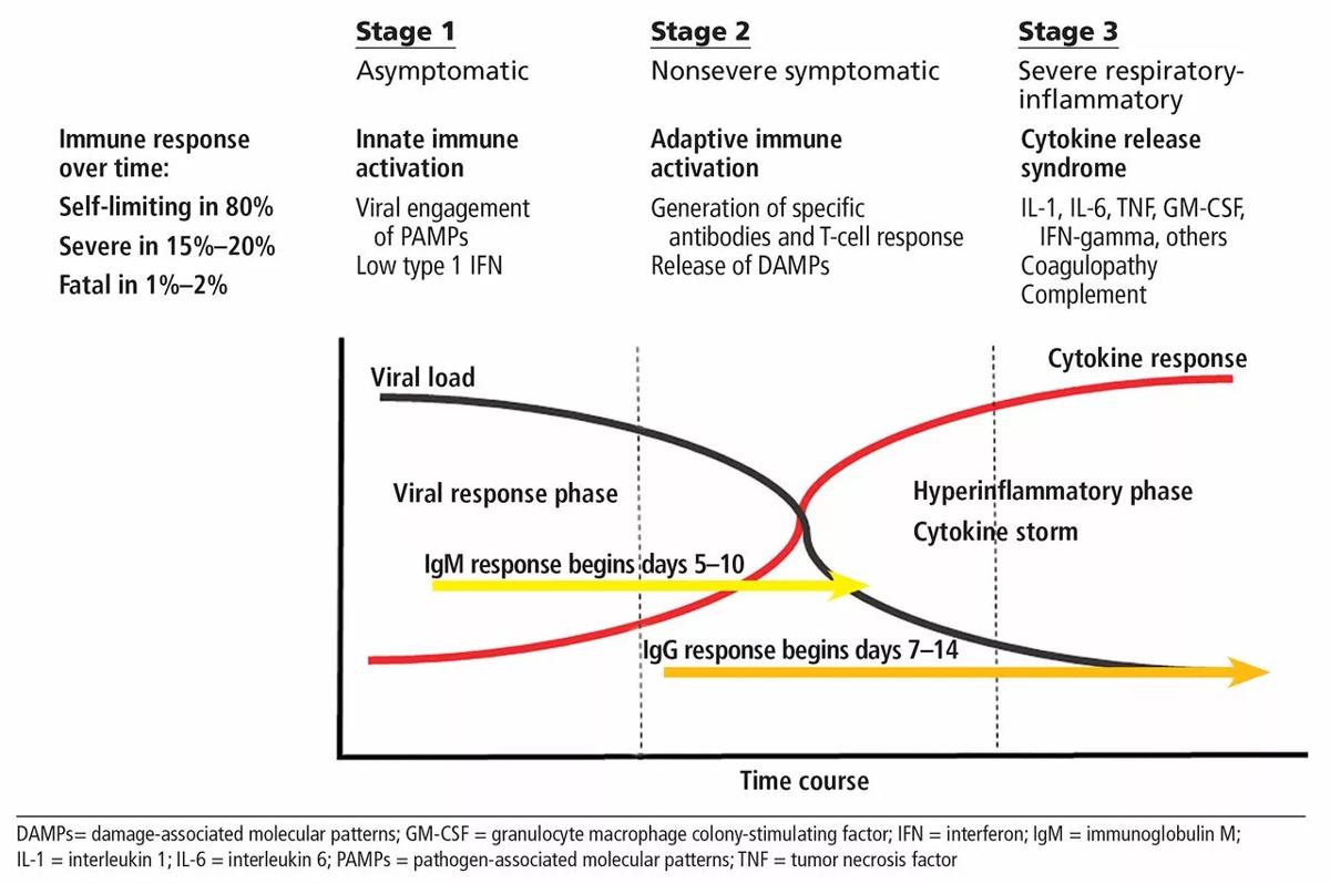 Stages