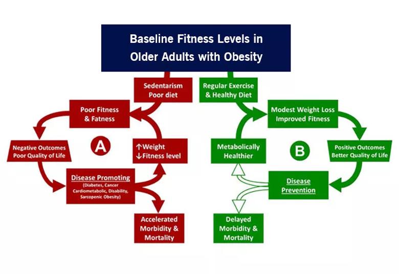 Illustration of fitness levels and outcomes for older adults